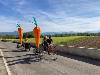 De nombreux produits phytosanitaires échappent toujours aux interdictions.