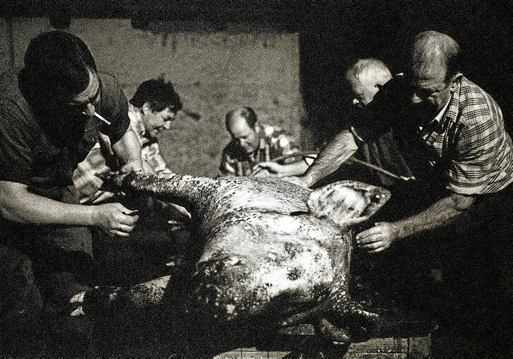 Duela bi hamarkadako txerri hilketa bat Oiartzungo baserri batean. Txarribodak ohikoak ziren baserrietan.