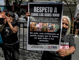 gara-2024-04-26-Noticia