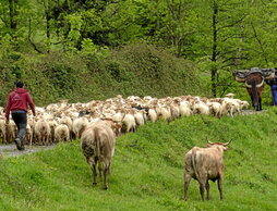 gara-2024-05-01-Noticia