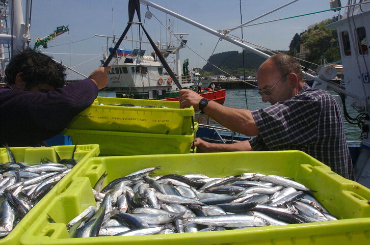 Fd-2024-05-11-eko_060511_1120