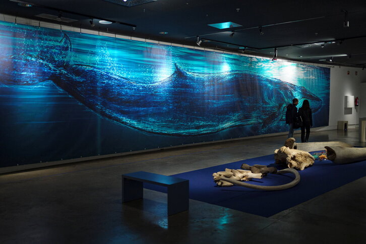 Fd-2024-05-11-bb_20230511307301