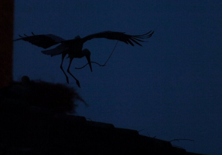 Fd-2024-05-19-nat140519_0020