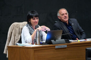 Laura Aznal, que ha defendido la moción presentada por EH Bildu, junto a Adolfo Araiz.