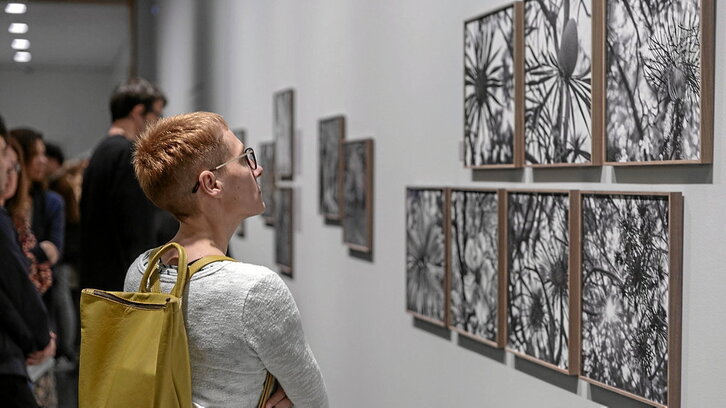 La exposición «Florilegium» de Joan Fontcuberta, en el Museo Universitario de Navarra, se adentra en una naturaleza creada por IA.