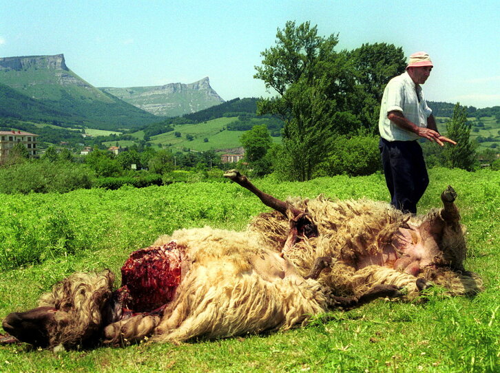 Fd-2024-06-02-etx_000602_151555