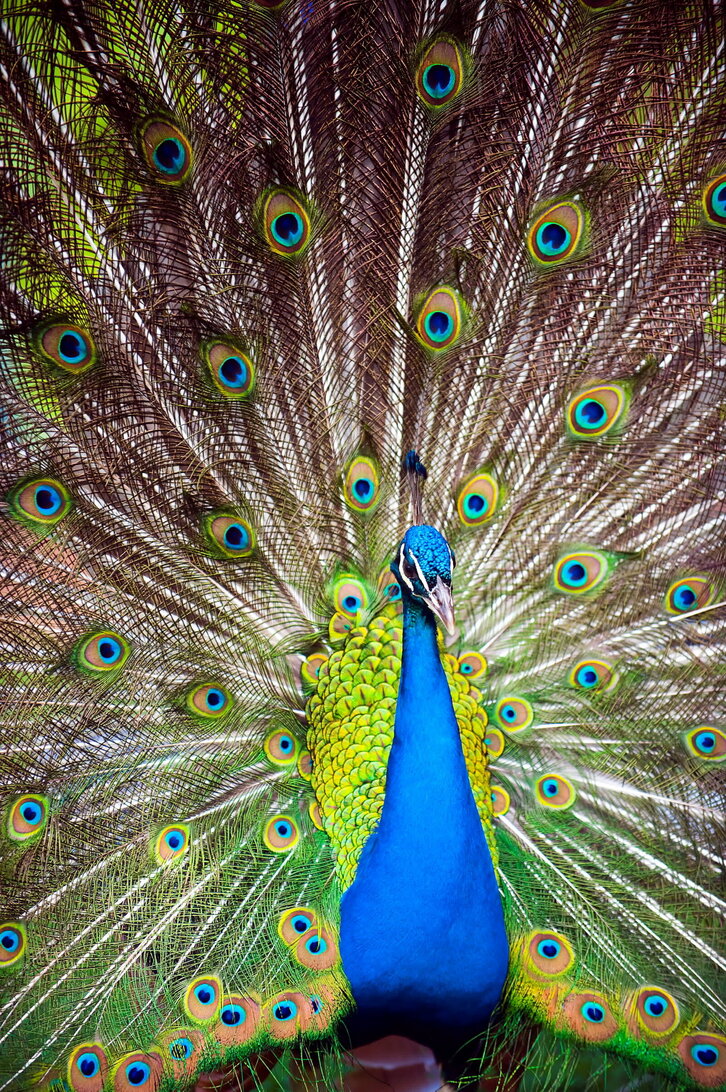 Fd-2024-06-02-giz_110602_0076