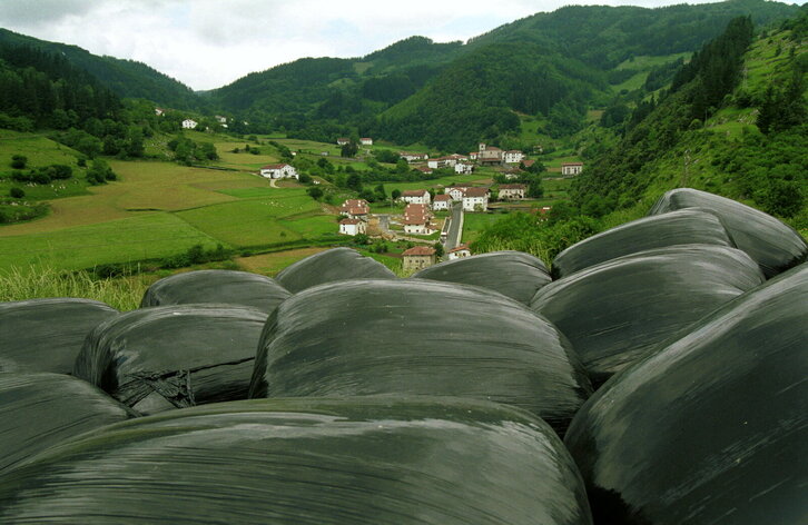 Fd-2024-06-08-etx_990608_632140