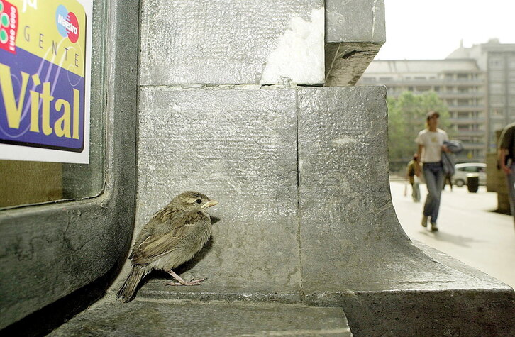 Fd-2024-06-08-etx_010608_257111