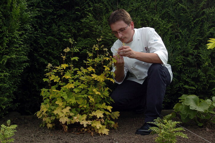 Fd-2024-06-08-giz_060608_5261