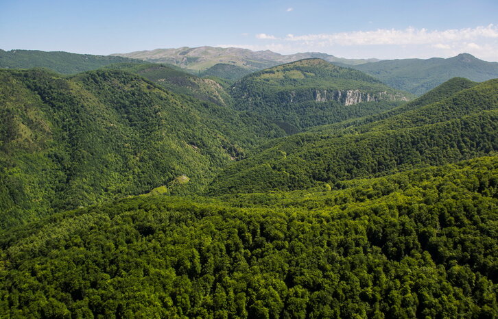 Fd-2024-06-08-pol140608_1049