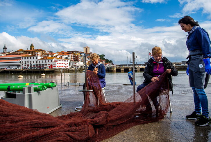 Fd-2024-06-08-eko200608_0021