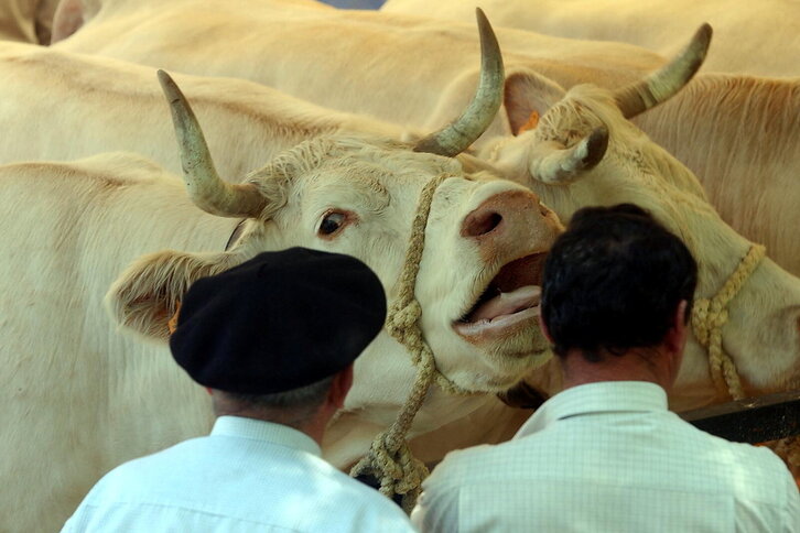 Fd-2024-06-13-giz_020613_5325