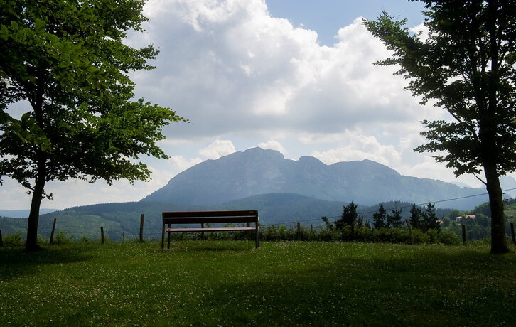 Fd-2024-06-13-giz140613_0111