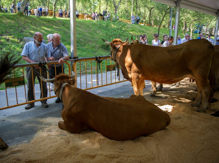 Fd-2024-06-13-giz140613_0056