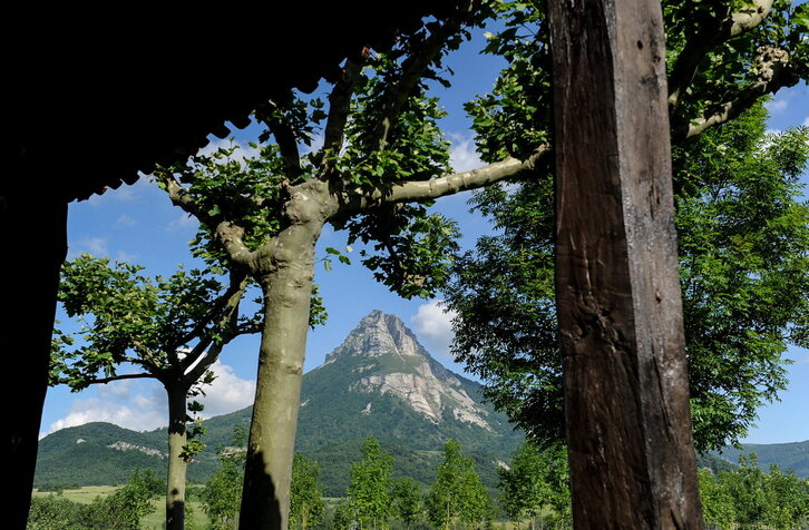 Fd-2024-06-13-giz140613_0075