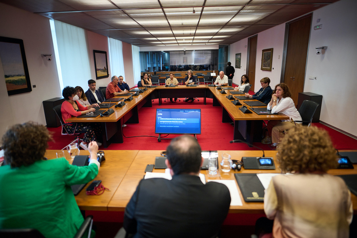 Asistentes a la sesión de la Comisión de Reglamento del Parlamento navarro en la que se ha aprobado la ponencia.
