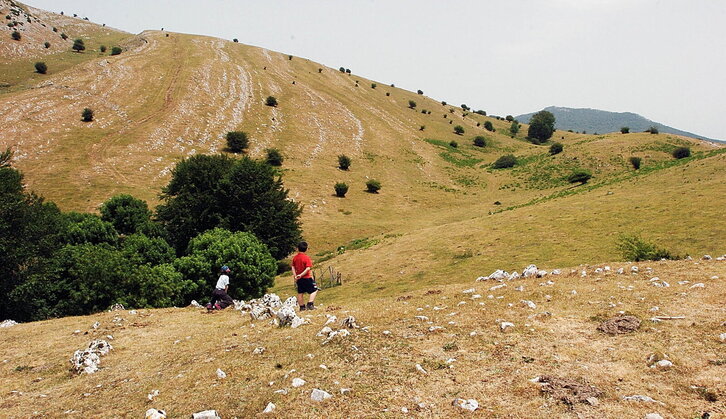 Fd-2024-06-15-nat_060615_1005