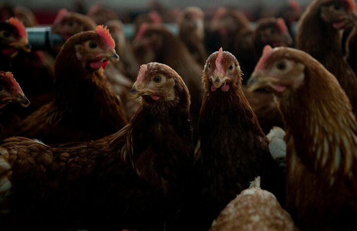 Fd-2024-06-17-eko_110617_0005