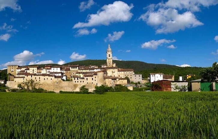 Irudian, Antoñana, kontserbazio proiektuetarako laguntza jaso duen tokiko erakundeetako bat.