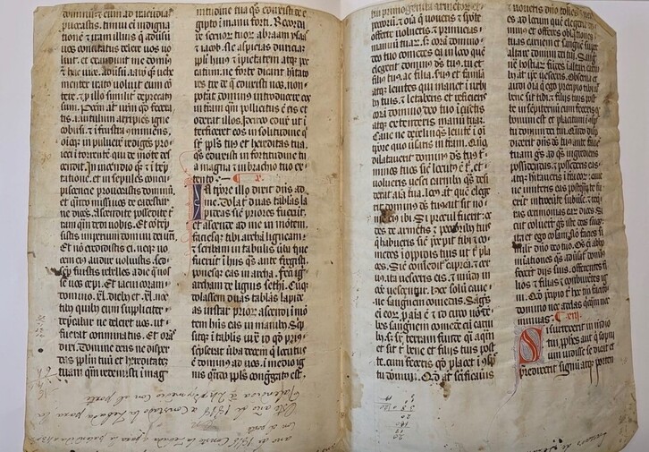 ‘Kexaako Biblia’ delakoaren pergaminoetako bat.