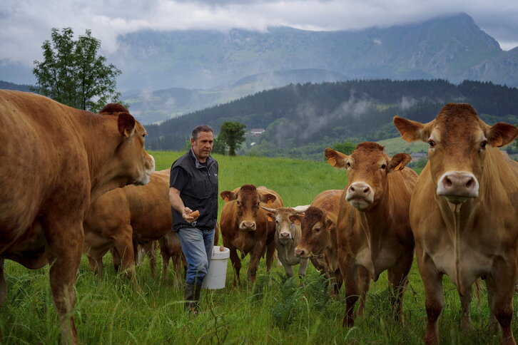 Fd-2024-06-23-aa_20210623034701