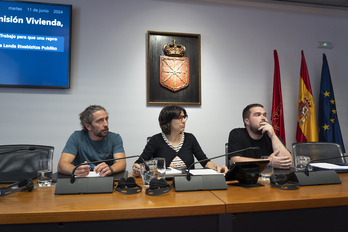 Los portavoces de la Plataforma Vivienda Pública Rural flanquean a Olga Chueca, presidente de la comisión de Vivienda, durante su comparecencia en el Parlamento navarro.
