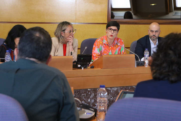Arantza Atutxa, diputada vizcaina de Medio Natural y Agricultura, durante su comparecencia.