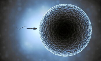 gara-2024-06-17-Noticia