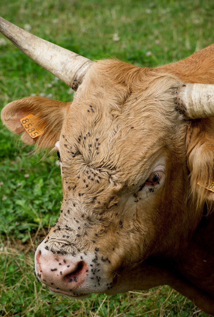 Fd-2024-07-03-giz140703_0053