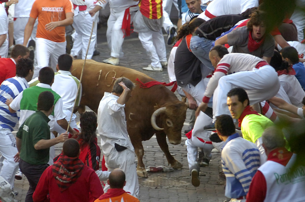 Imagen de «Capuchino», el toro colorado que corneó mortalmente a Daniel Jimeno en 2009 (Jagoba MANTEROLA / FOKU)