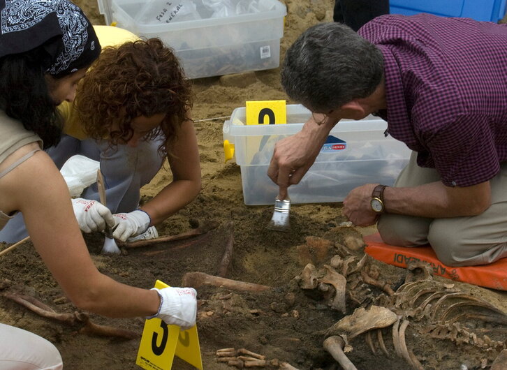 Fd-2024-07-04-giz_090704_0449