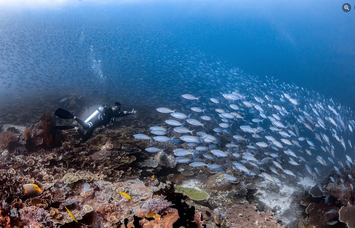 Egoi Benitez ordiziarra Indonesiako uretan urpekaritza egiten