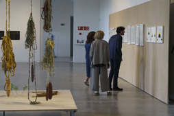 La muestra se puede visitar hasta octubre.