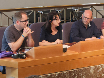 La juntera Arantza Sarasola, en su interpelación a la diputada de Hacienda y Finanzas.