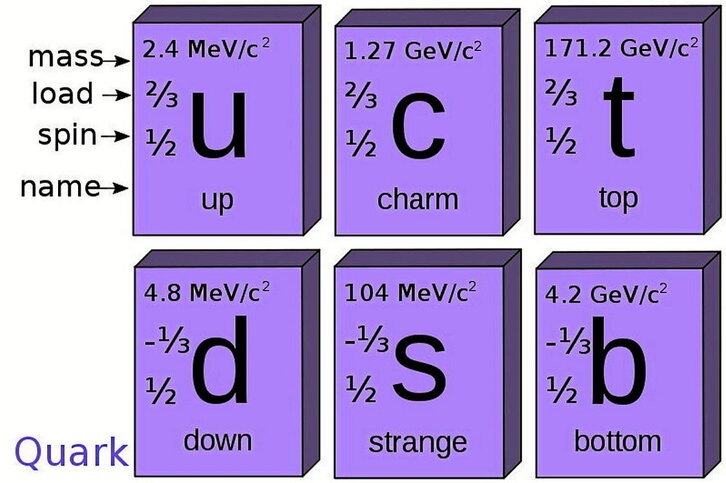 Quark deritzaten partikulak, haien masa, karga, espin eta izenaz.