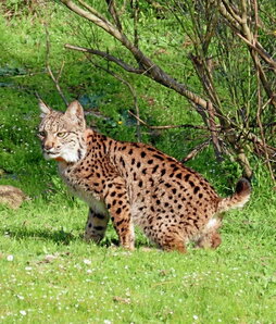 gara-2024-06-22-Noticia