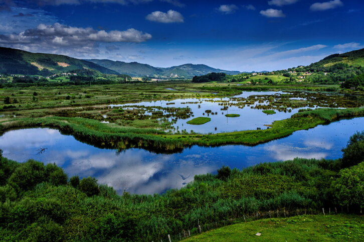 Fd-2024-07-07-nat200707_0038