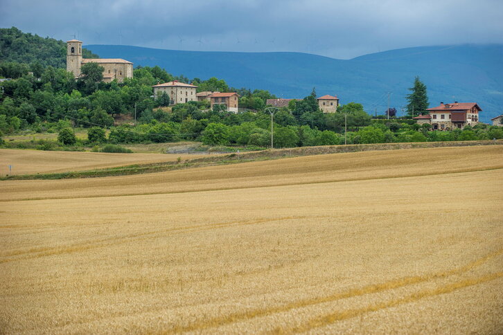 Fd-2024-07-09-giz140709_0233