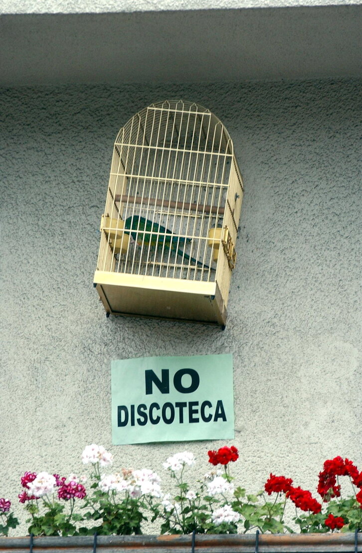 Fd-2024-07-10-giz_020710_8678