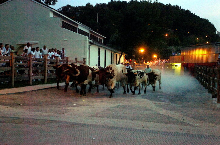 Fd-2024-07-10-giz_060710_2708