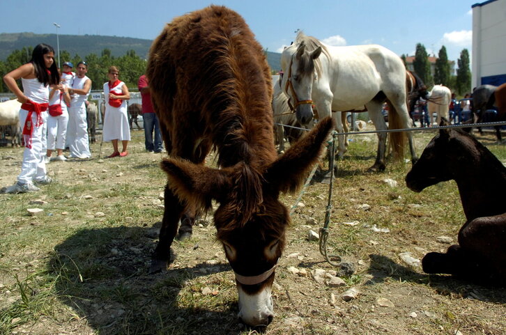 Fd-2024-07-10-giz_080710_1781