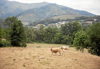 Les étés 2022 et 2023 ont été marqués par d’importantes sécheresses qui ont notamment touché le secteur agricole.