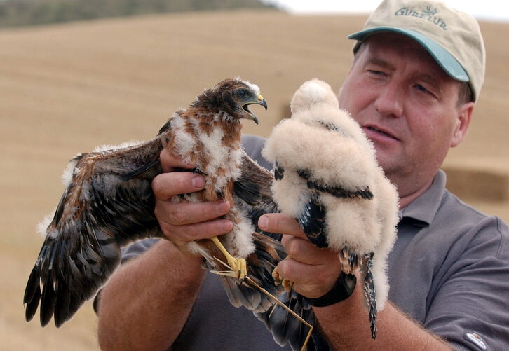 Fd-2024-07-11-nat_020711_0444