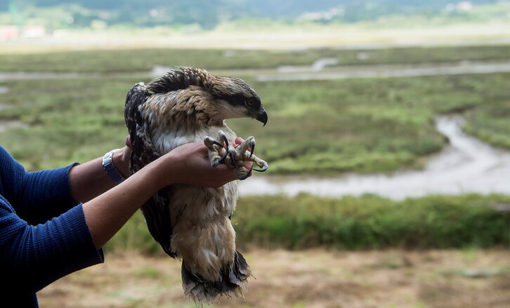 Fd-2024-07-11-nat170711_0012