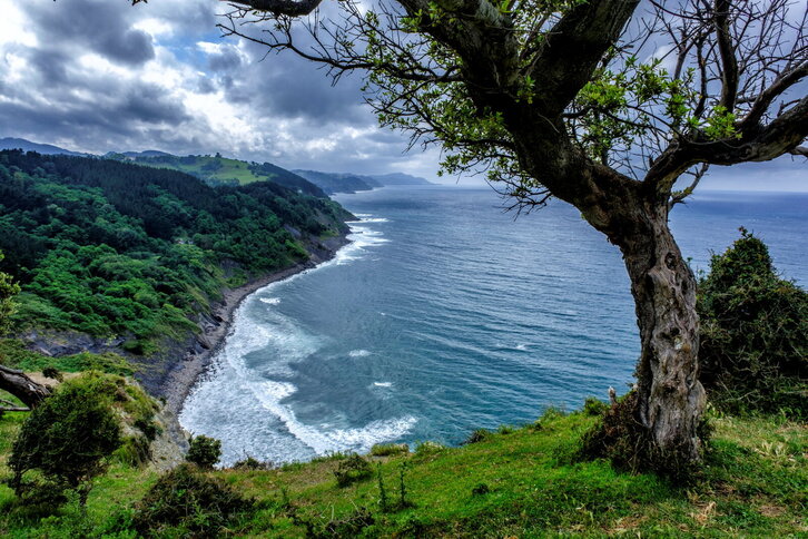 Fd-2024-07-14-aa_fku_ju_000038415