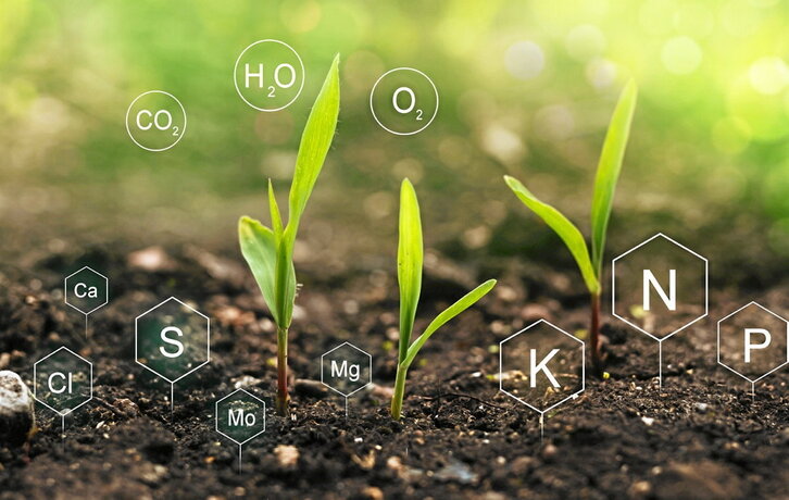 Irudiak hartzeko telefono mugikor bat erabiltzen duen neurketa berritzaile bat gehitu dute.