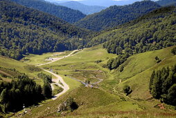 El segundo hayedo más grande de Europa, localizado en Irati, ya es reseva de la biosfera.