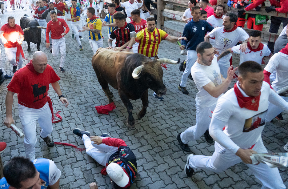 El toro Gallardío se abre paso entre los corredores en el tramo del callejón.