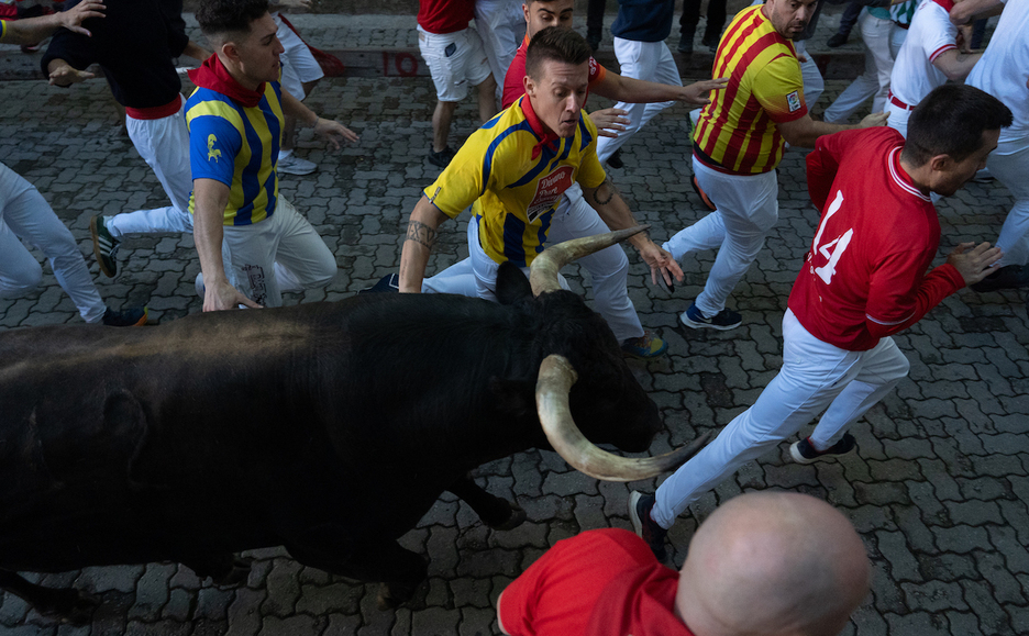 Miradita a esos imponentes cuernos.